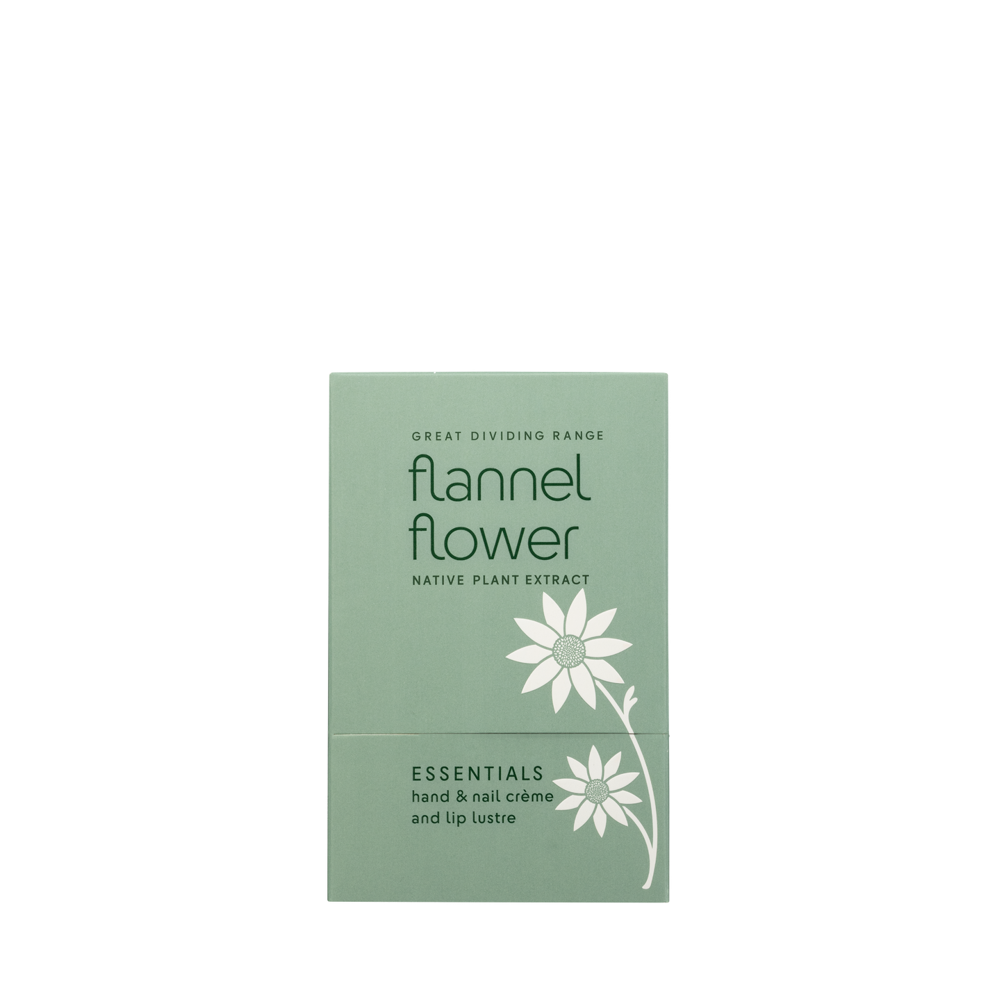 Flannel Flower Essentials Pack