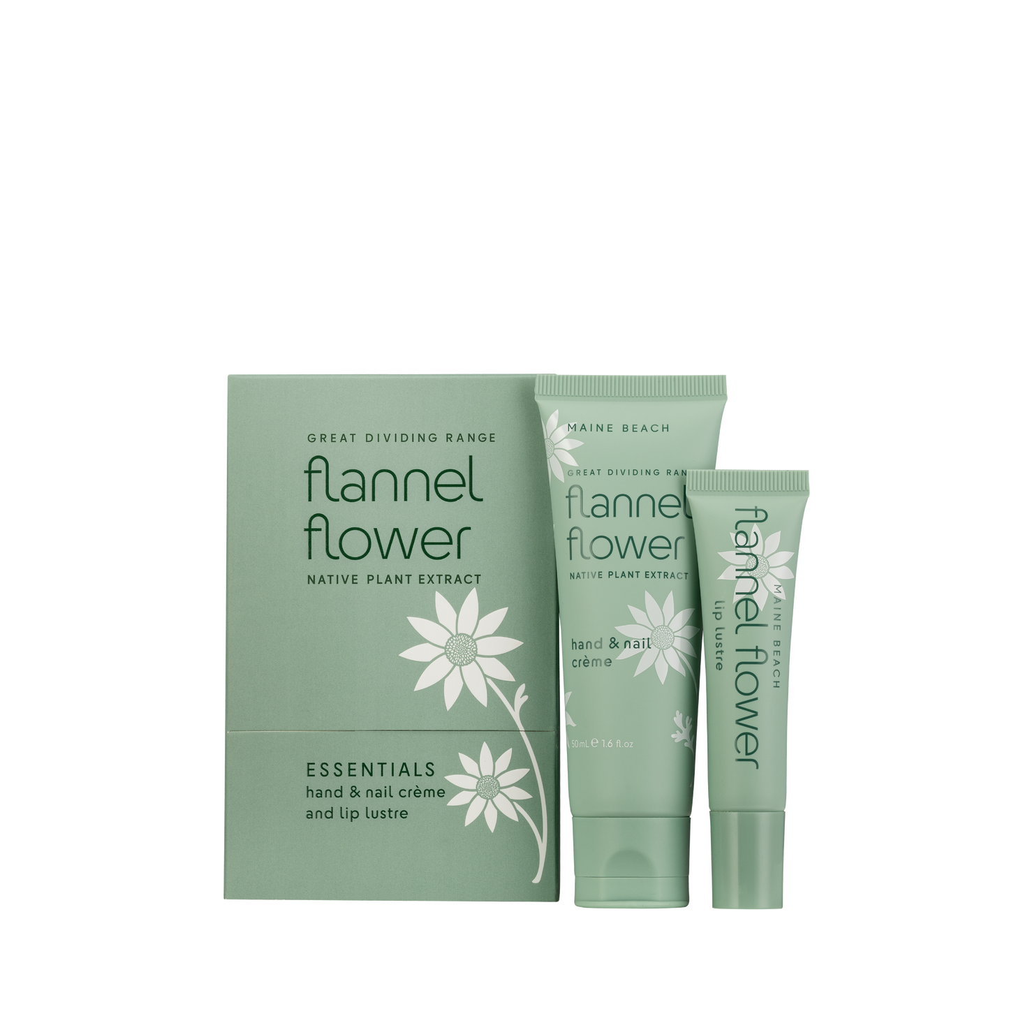 Flannel Flower Essentials Pack